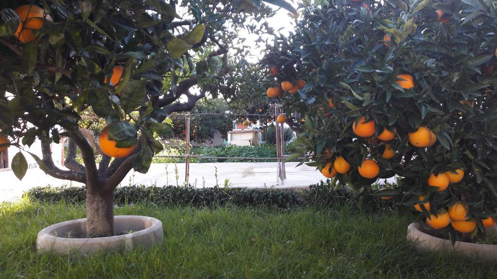Appartamento Via Vulcano Trapani Esterno foto